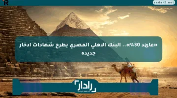 «عائد 30%».. البنك الأهلي المصري يطرح شهادات ادخار جديدة